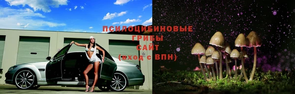 крисы Навашино