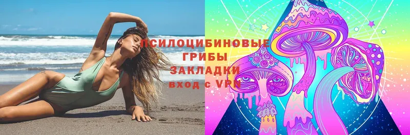 Псилоцибиновые грибы Psilocybe  Новотроицк 