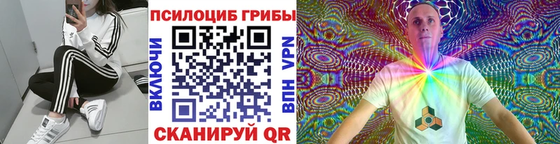 Галлюциногенные грибы Magic Shrooms  ссылка на мегу ССЫЛКА  Новотроицк 