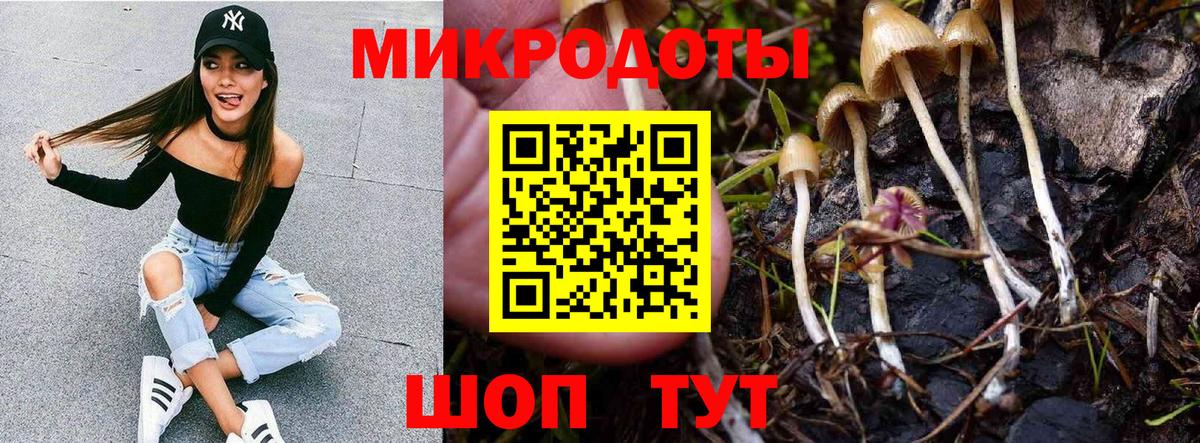 Галлюциногенные грибы Cubensis Новотроицк