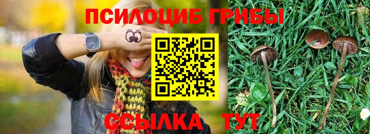 Новотроицк  Галлюциногенные грибы Cubensis  Вход с VPN 